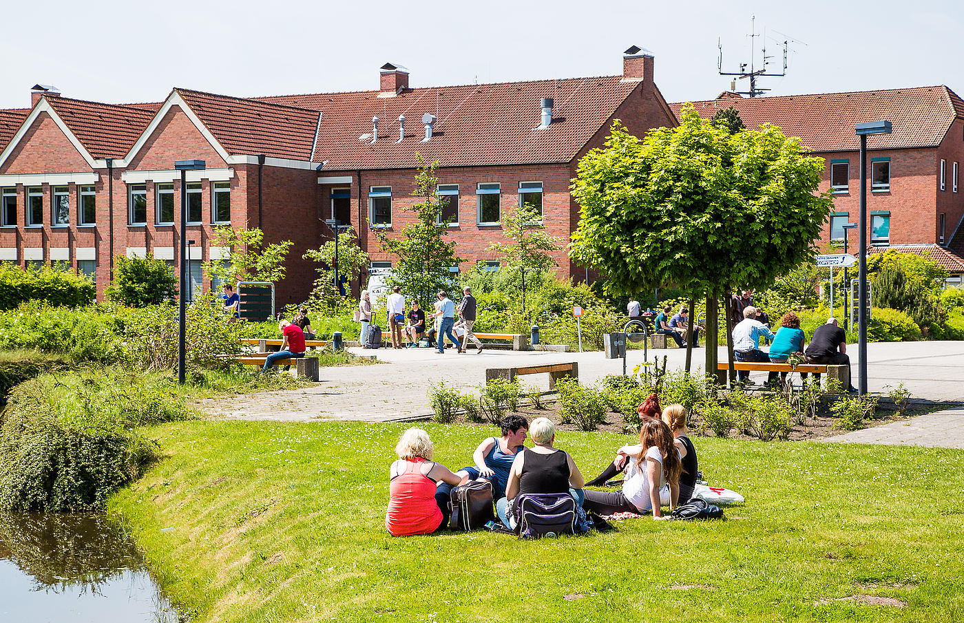 Studierende sitzen auf einer Wiese am Campus Emden der HS Emden/Leer 